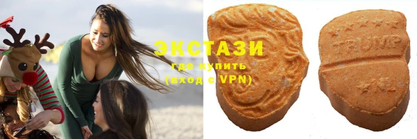 дживик Надым
