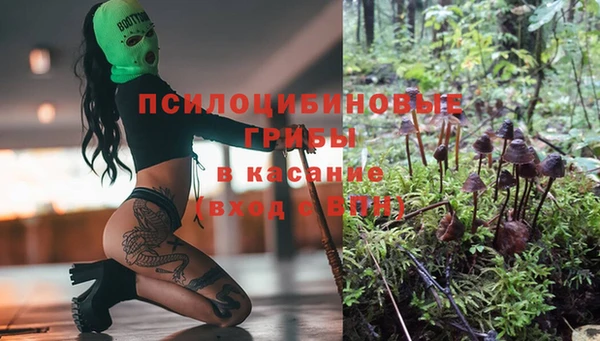 соль ск Наволоки