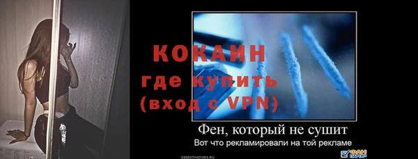 дживик Надым