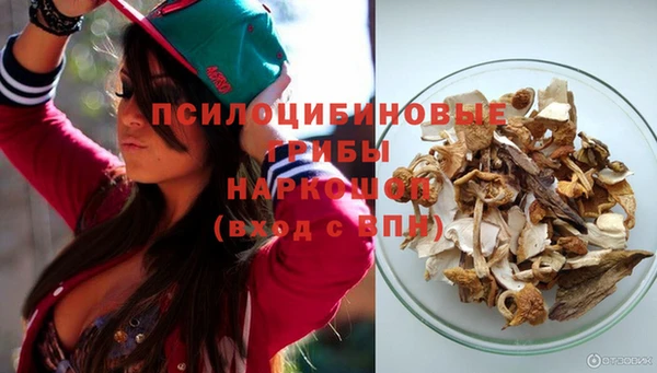 стаф Навашино