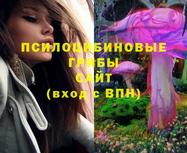 дживик Надым