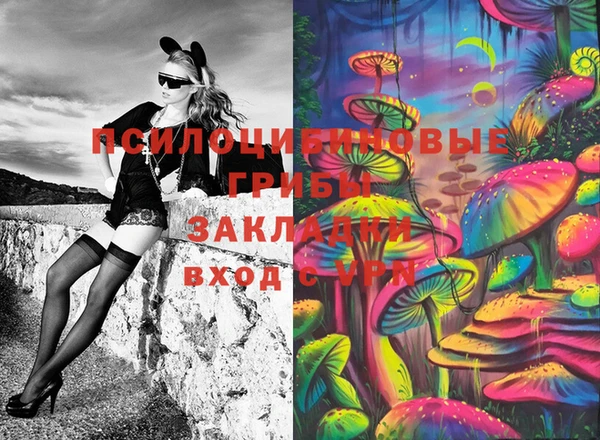 соль ск Наволоки