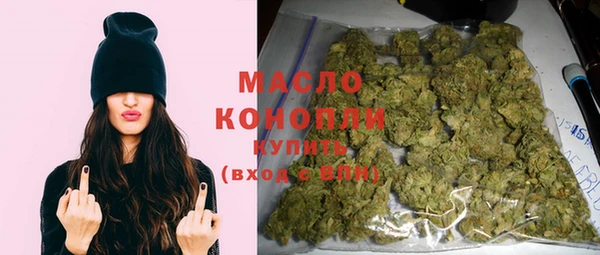 дживик Надым