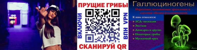 Купить  Славянск-на-Кубани  Галлюциногенные грибы MAGIC MUSHROOMS 